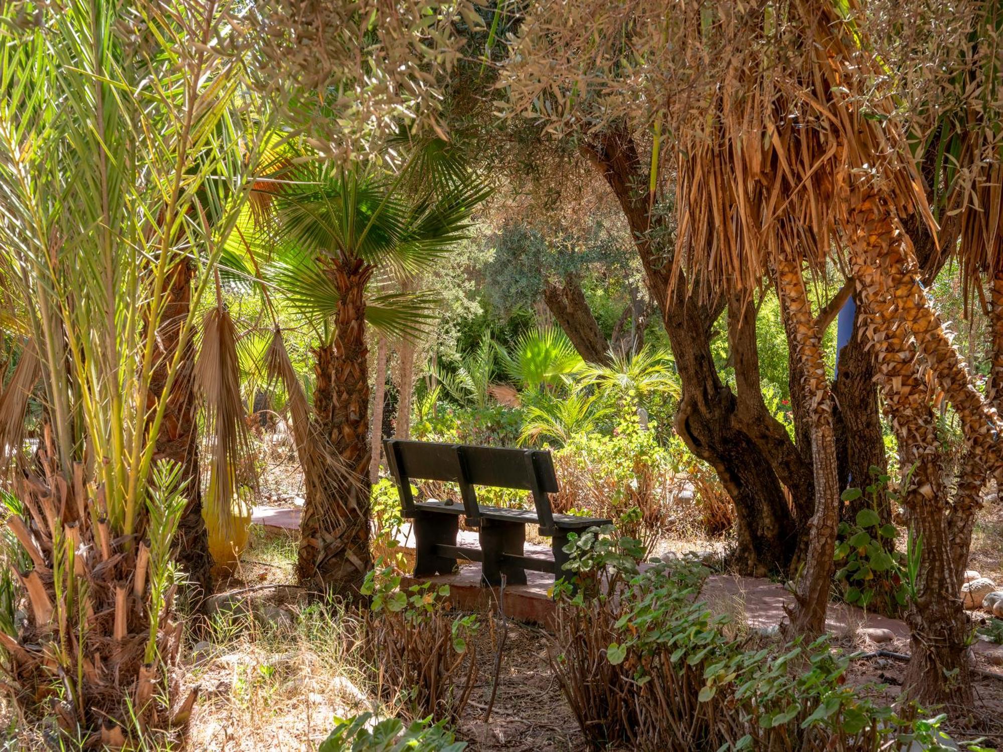 Riad Cle De Sol El Jem'a Ghemat Eksteriør bilde